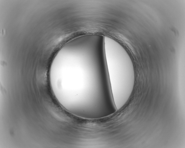 X0000091370596200708101116