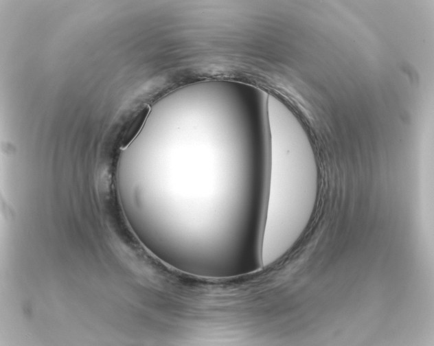 X0000091370597200708101116