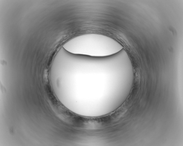 X0000091370598200708101116