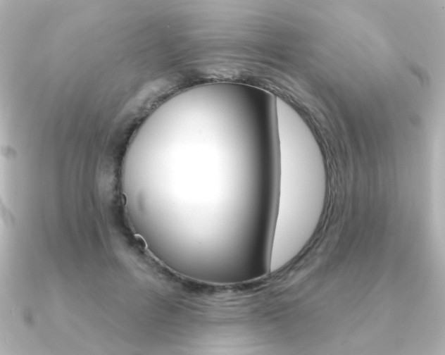 X0000091370600200708101116