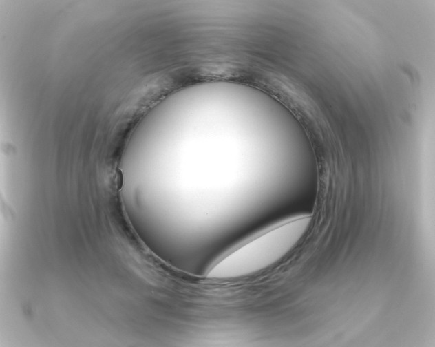 X0000091370601200708101116