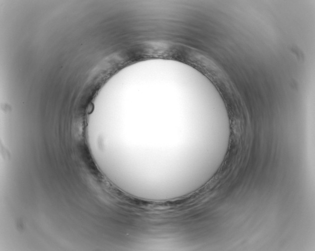 X0000091370602200708101116