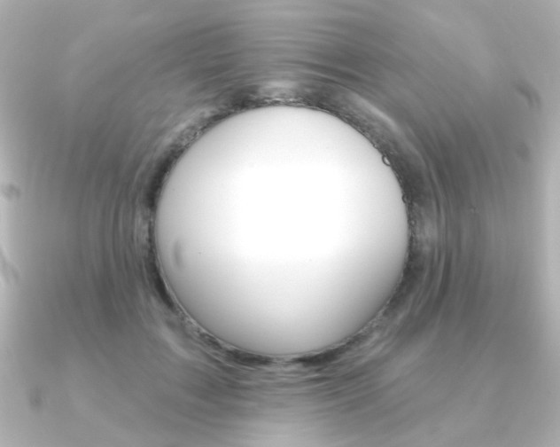 X0000091370603200708101116