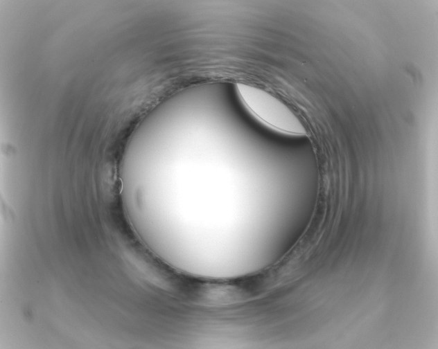 X0000091370605200708101116
