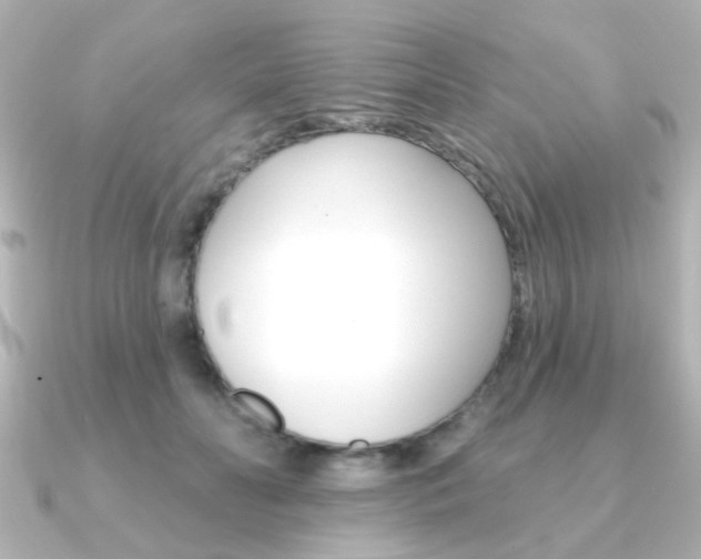 X0000091370606200708101116