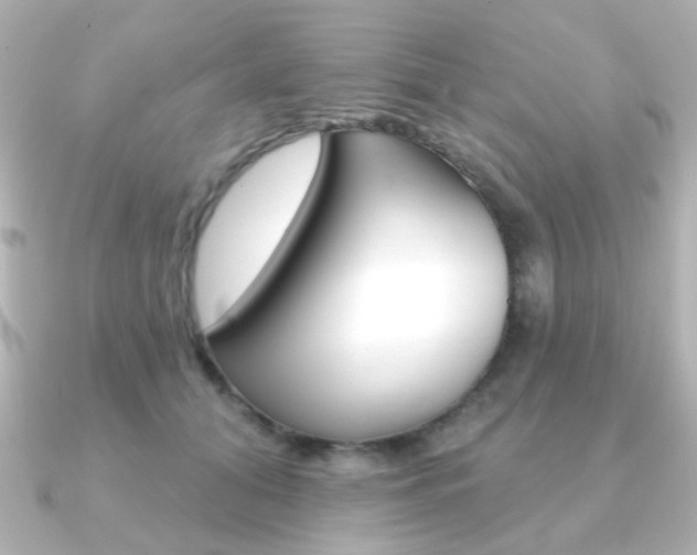 X0000091370608200708101116