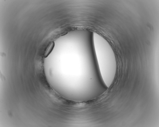 X0000091370609200708101116