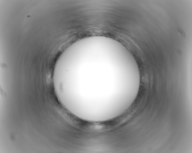 X0000091370610200708101116