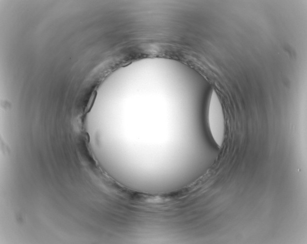 X0000091370611200708101116