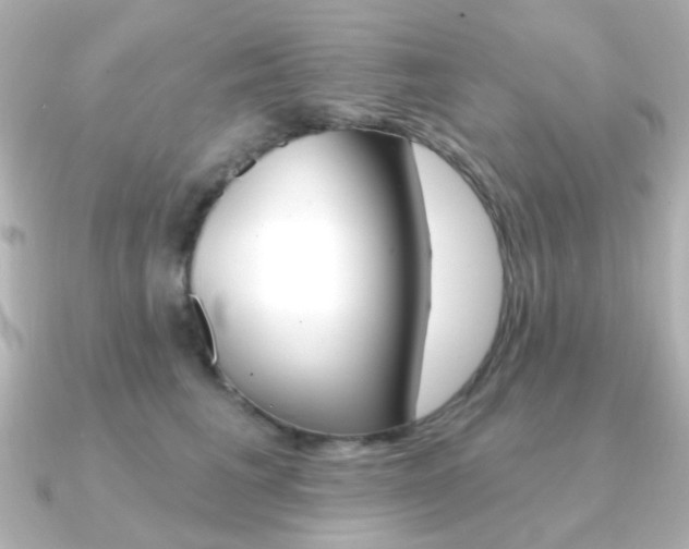 X0000091370613200708101116