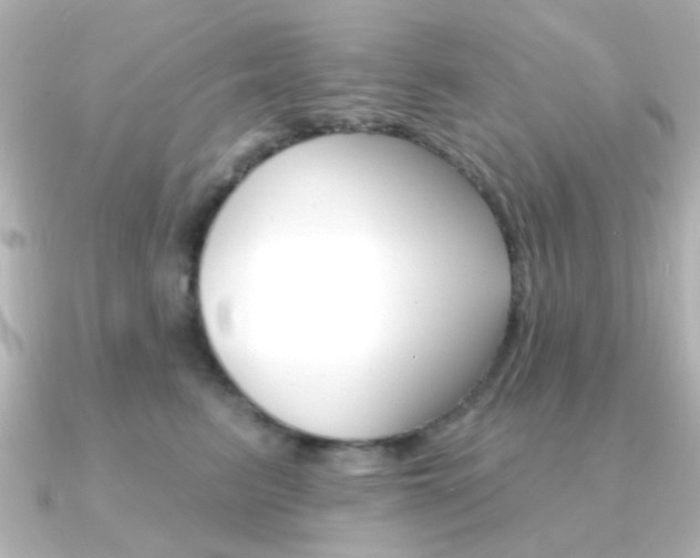 X0000091370615200708101116