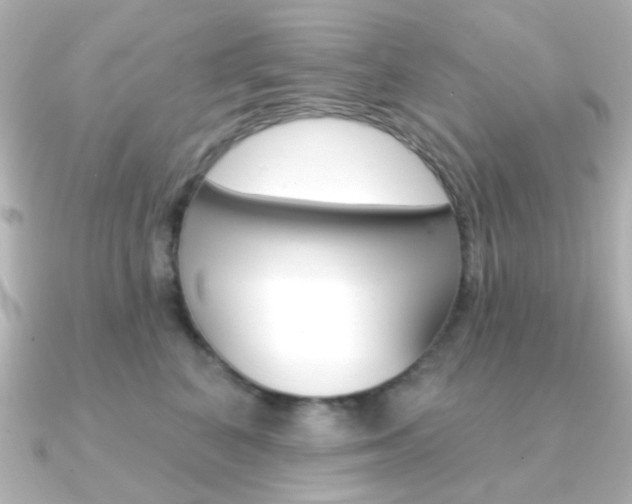 X0000091370616200708101116