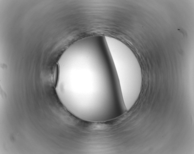 X0000091370617200708101116