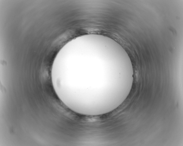 X0000091370618200708101116