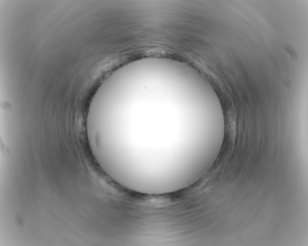 X0000091370619200708101116