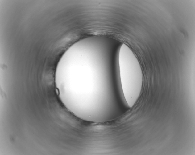 X0000091370620200708101116