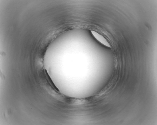 X0000091370621200708101115