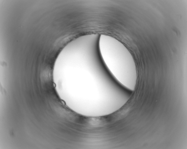 X0000091370623200708101115