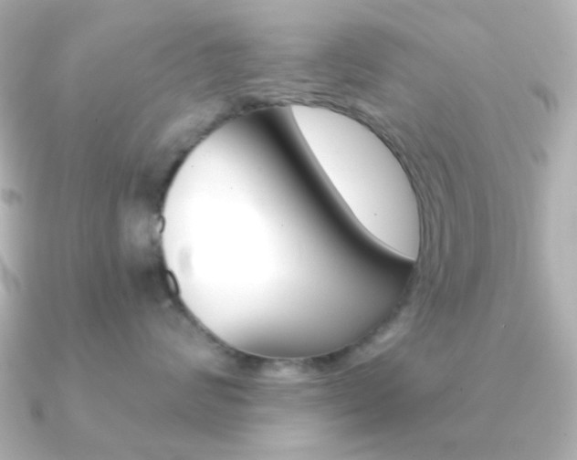 X0000091370624200708101115