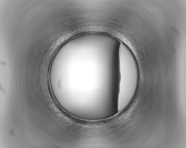 X0000091370625200708101115
