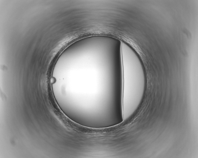 X0000091370626200708101115