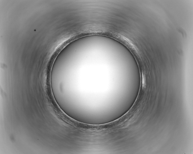X0000091370627200708101115