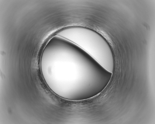 X0000091370628200708101115
