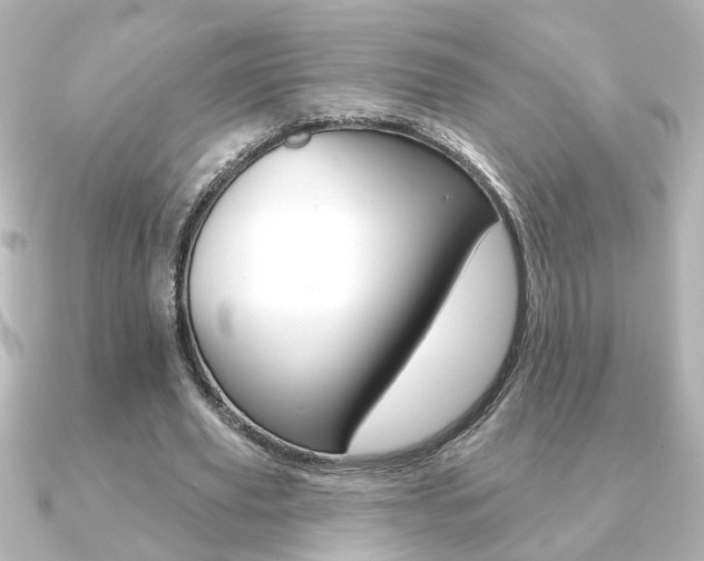 X0000091370629200708101115