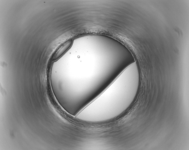 X0000091370630200708101115