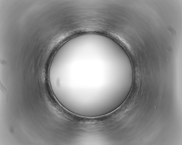 X0000091370631200708101115