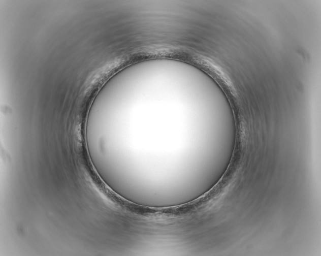 X0000091370633200708101115