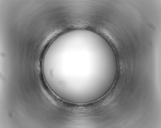 X0000091370634200708101115