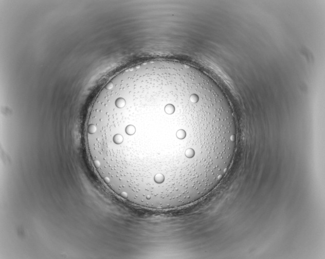 X0000091370635200708101115