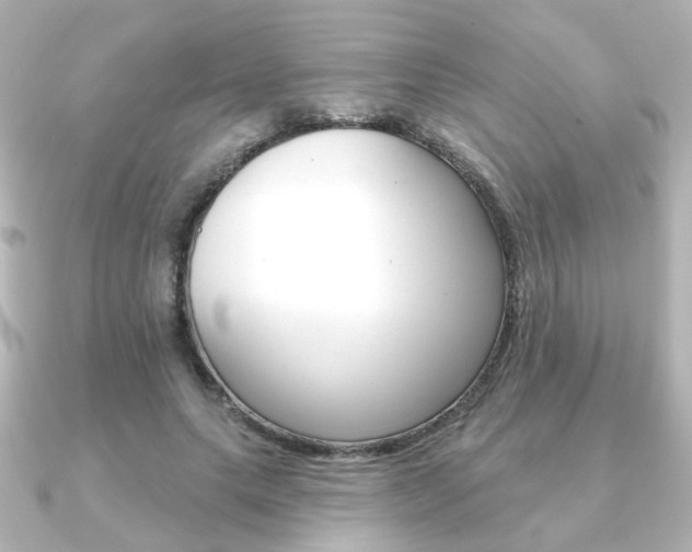 X0000091370639200708101115