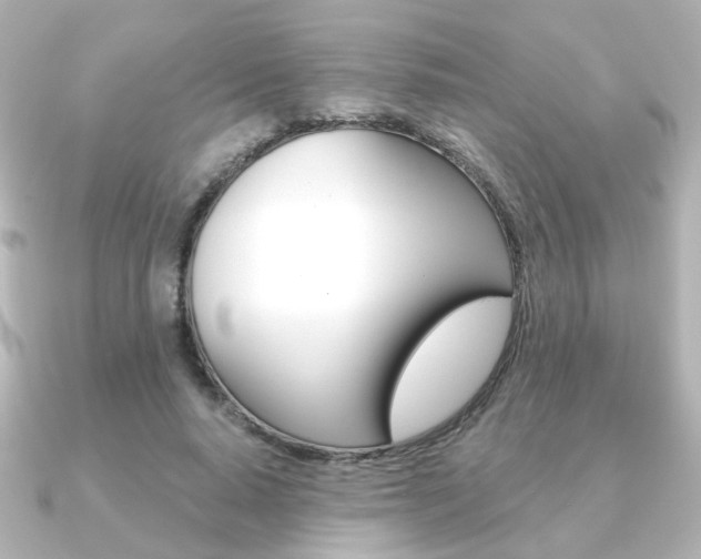 X0000091370640200708101115