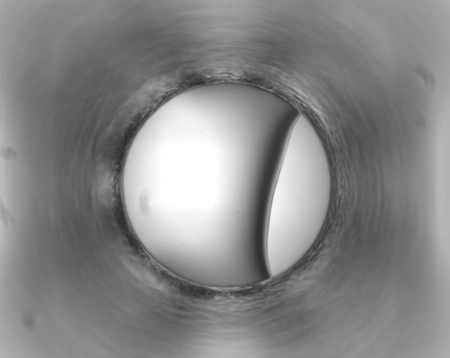 X0000091370641200708101115