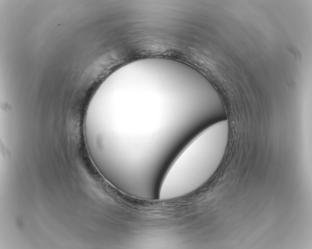 X0000091370642200708101115