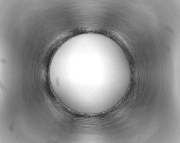 X0000091370643200708101115