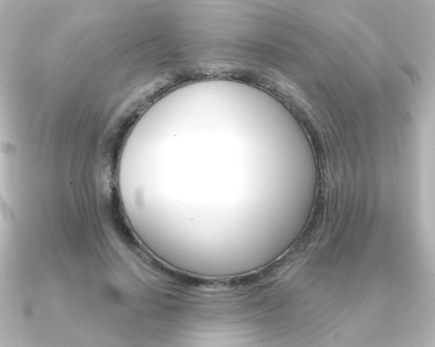 X0000091370644200708101115