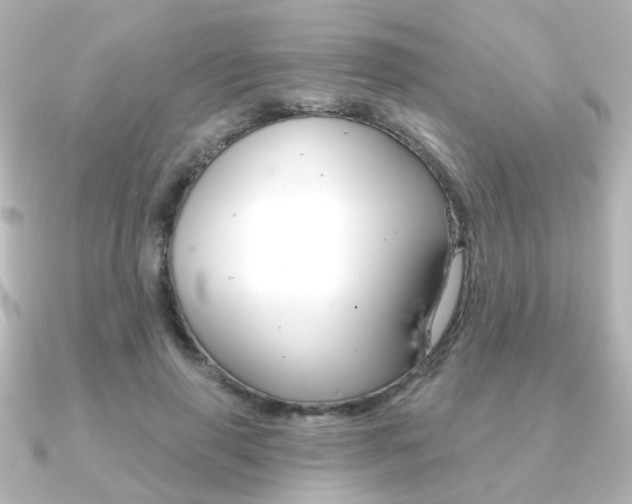 X0000091370645200708101115