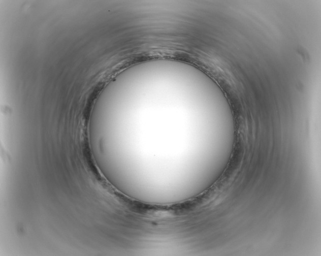 X0000091370649200708101115