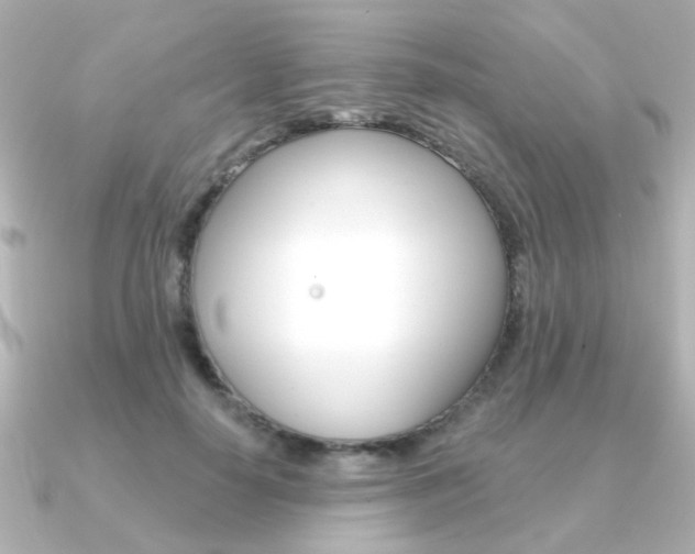X0000091370650200708101115