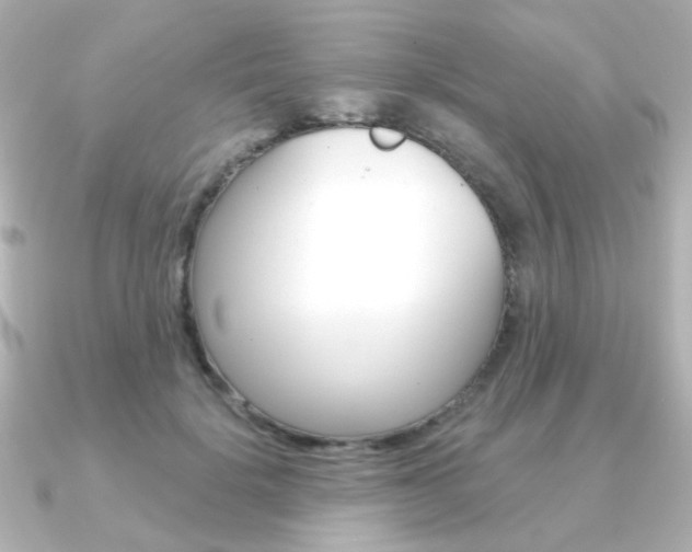 X0000091370652200708101115