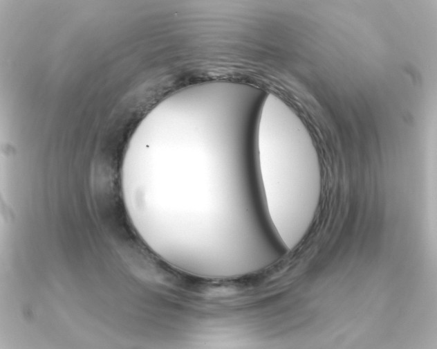 X0000091370653200708101115