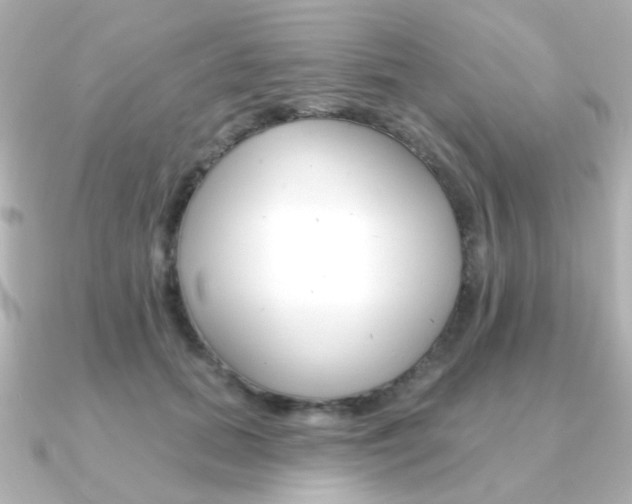 X0000091370655200708101115