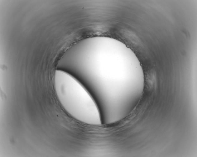 X0000091370657200708101115