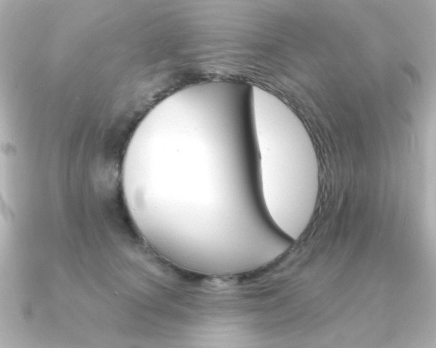 X0000091370660200708101115