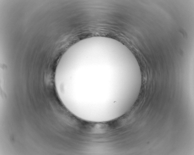 X0000091370663200708101115