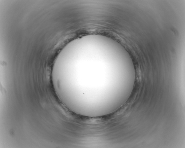 X0000091370664200708101115