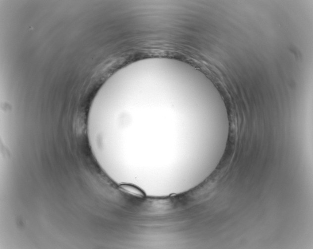 X0000091370665200708101115